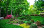 Giardini terapeutici: il potere curativo della natura