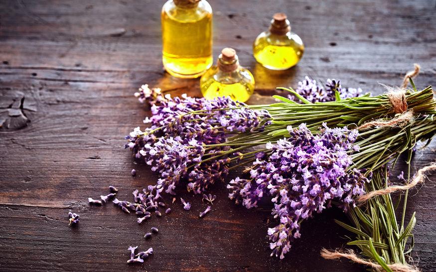 lavanda in cucina