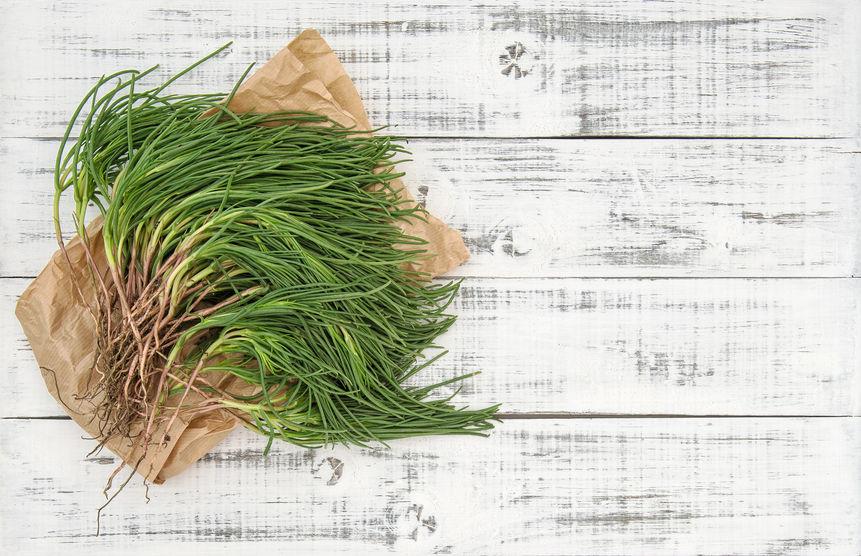 agretti agretti