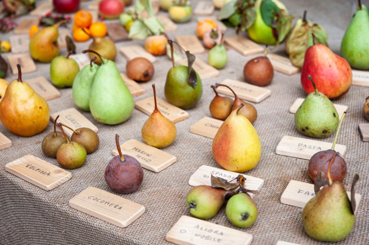 biodiversita-frutta-verdura