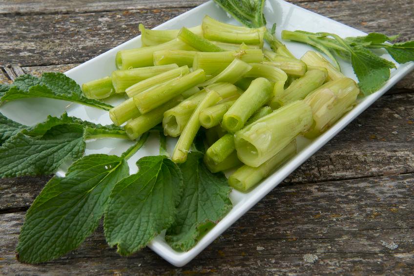 borragine-cucinare borragine-cucinare