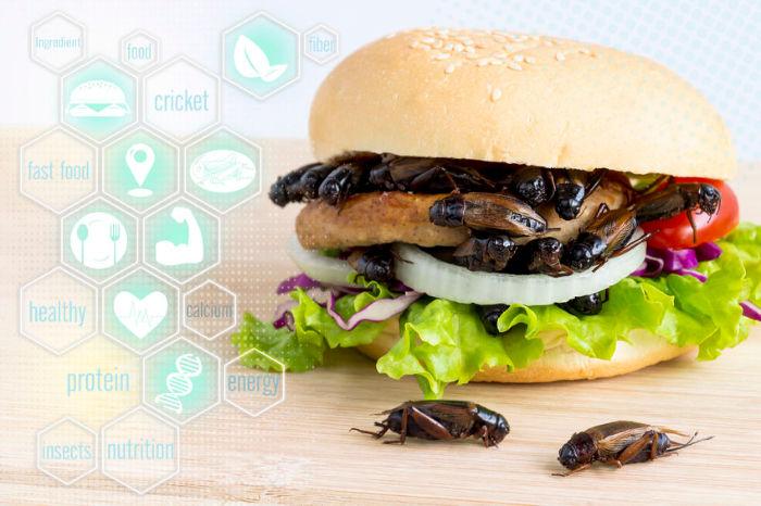 burger-di-grilli-simone-ferretti burger-di-grilli-simone-ferretti