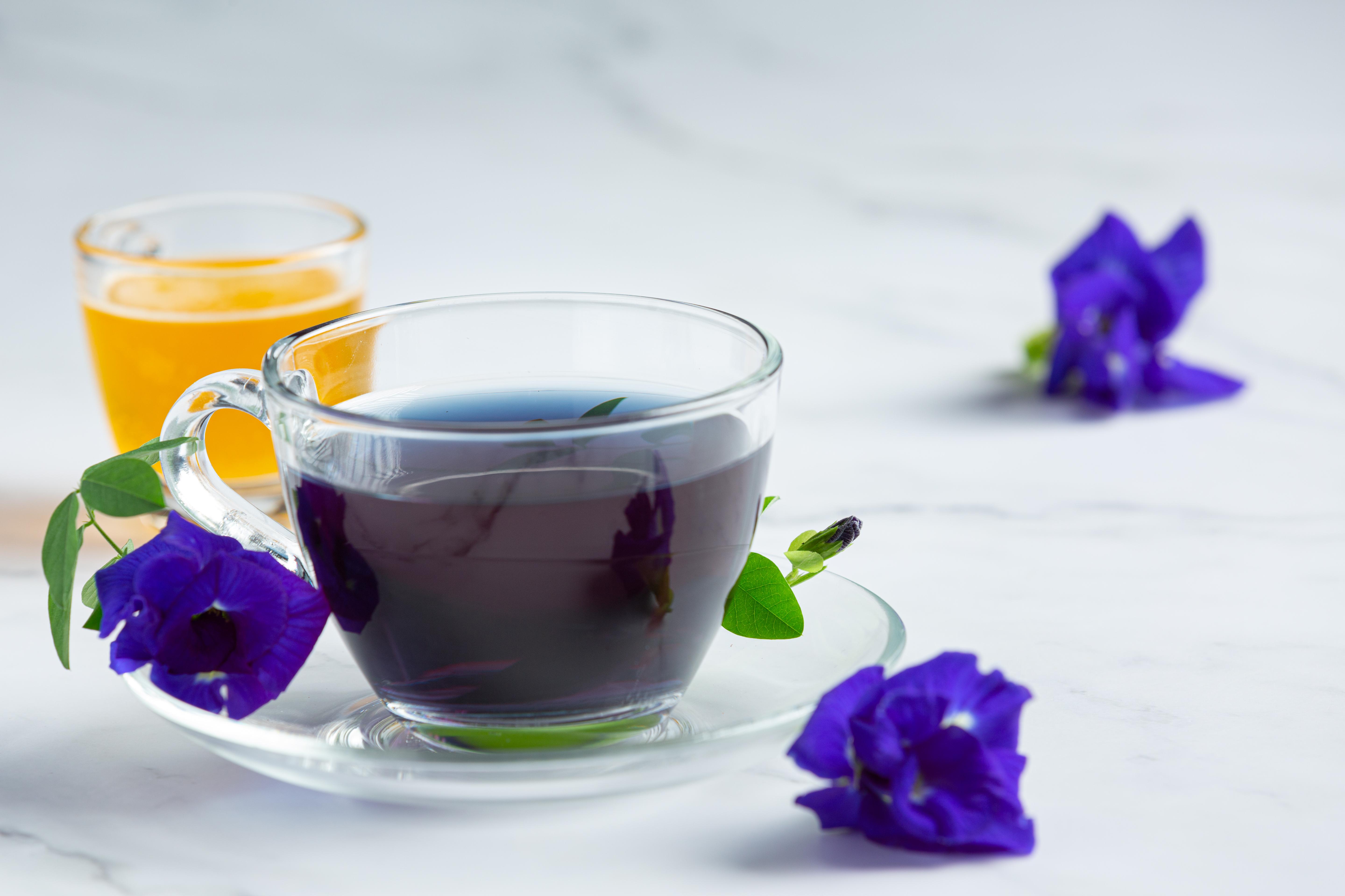 butterfly-pea-flower-tea