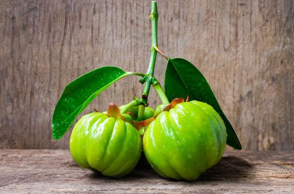 garcinia-cambogia