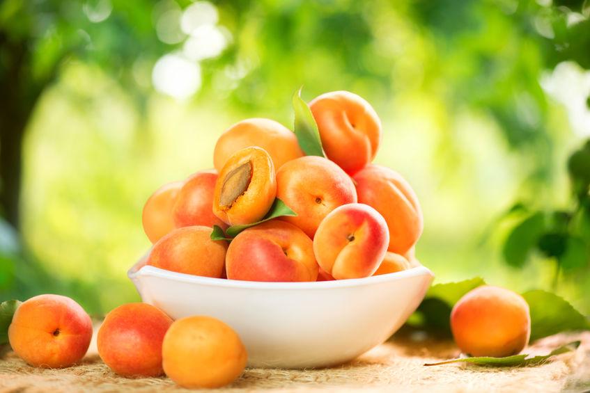 pesche-varietà pesche-varietà