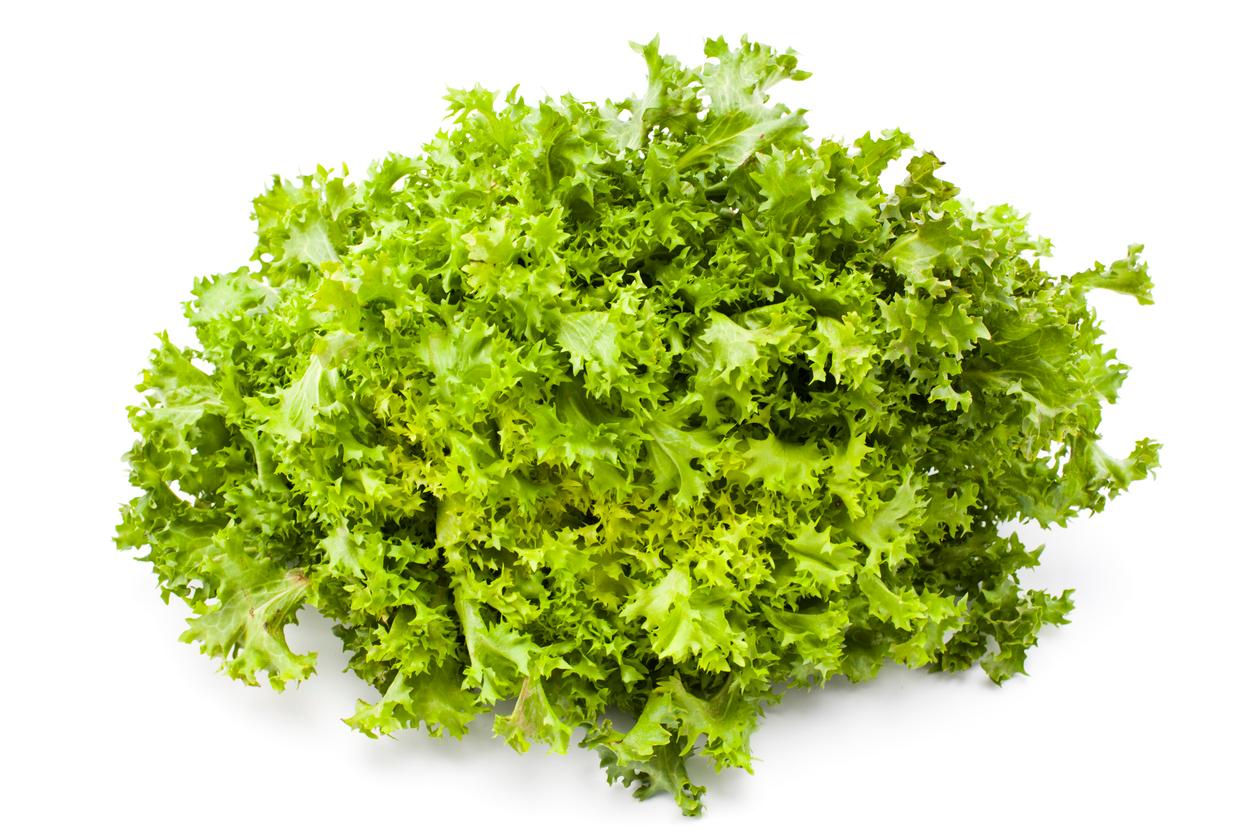 scarola scarola
