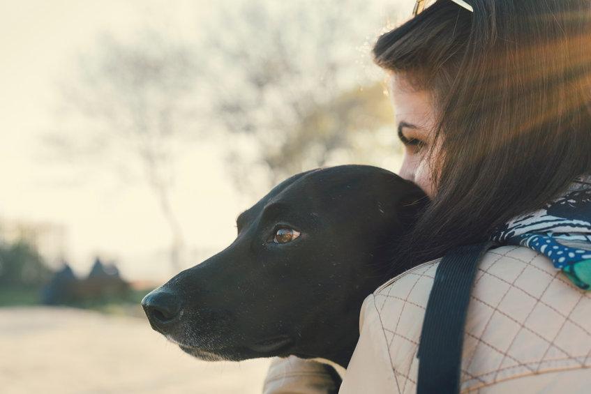 Sepoltura animali domestici con il padrone