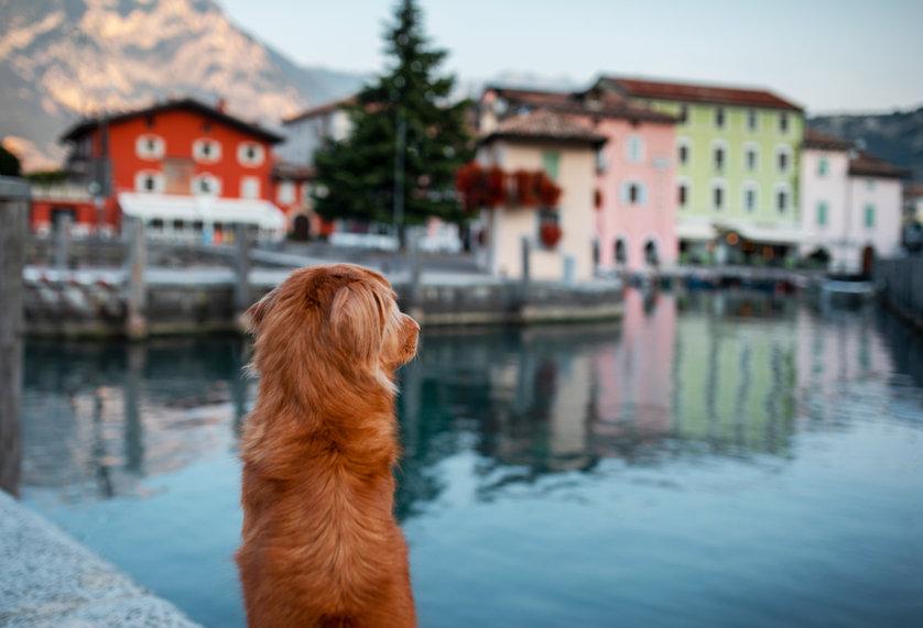 borghidog-portale-turismo-pet-friendly-borghi-italiani