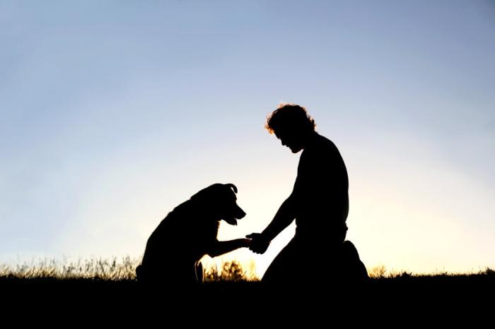 dog-relationship-with-man dog-relationship-with-man