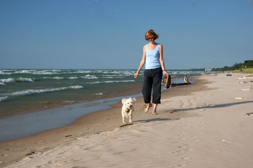 Decalogo Aidaa per portare il cane nelle spiagge libere
