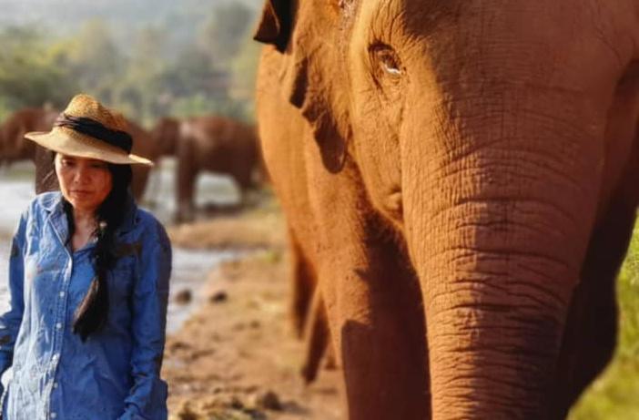 lek-chailert-elephant-nature-park