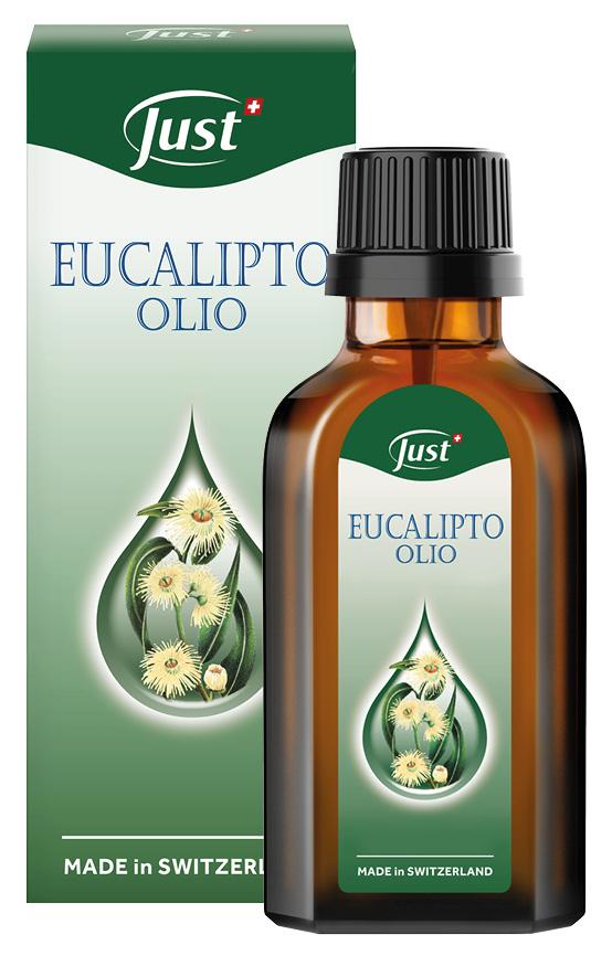 Olio di eucalipto: come usarlo nel cambio di stagione 