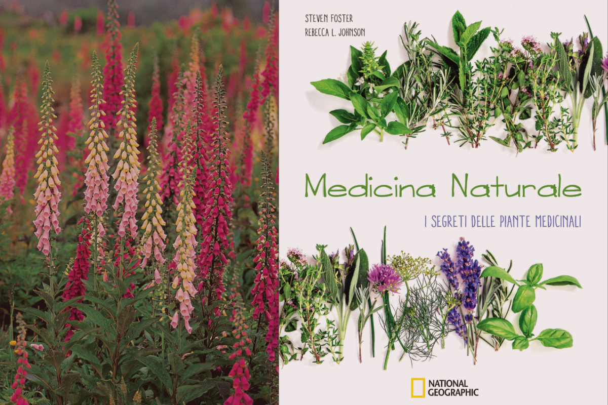 medicina-naturale-neational-geographic