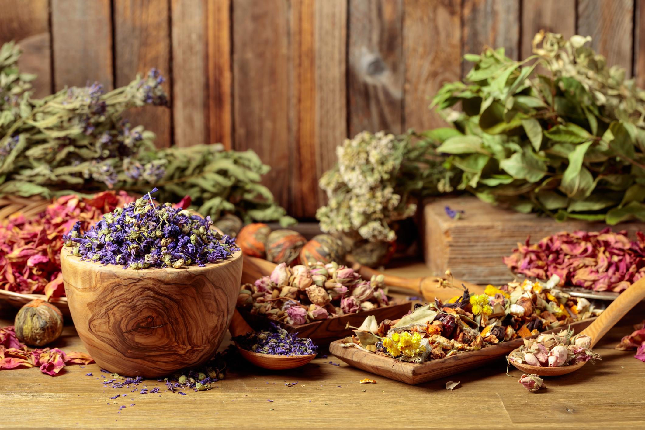 erbe-officinali erbe-officinali