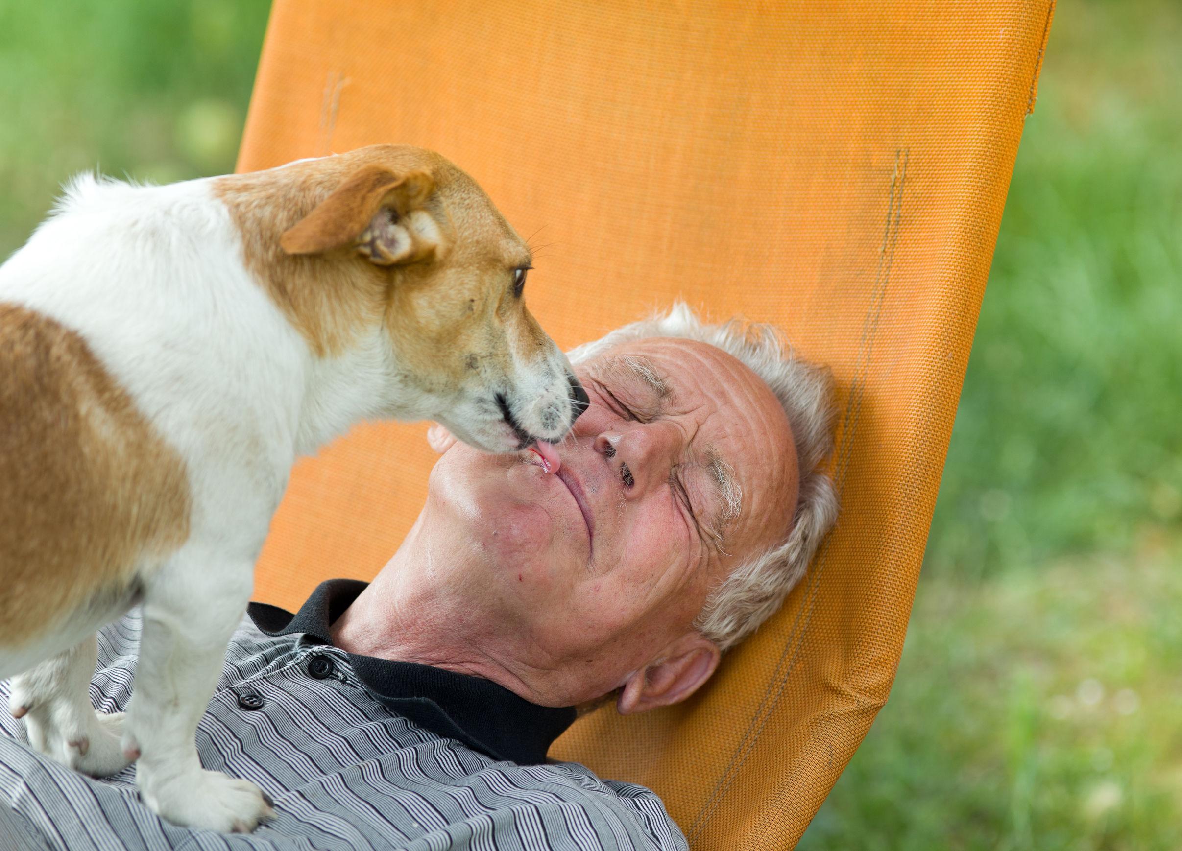 pet-therapy-solitudine pet-therapy-solitudine