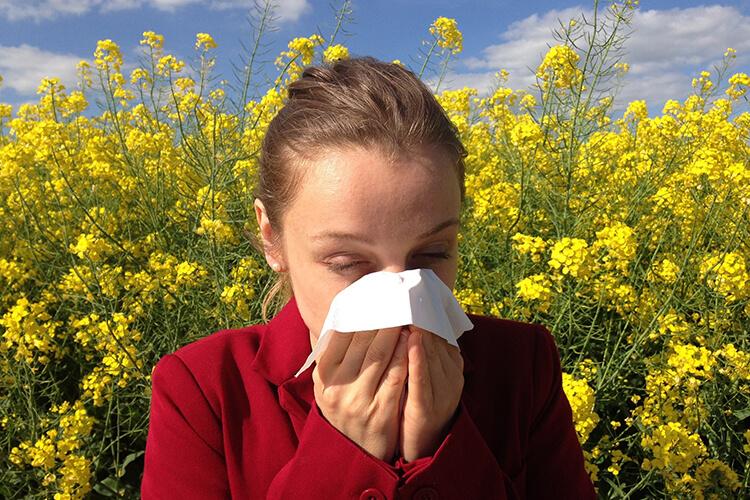 allergia-raffreddore