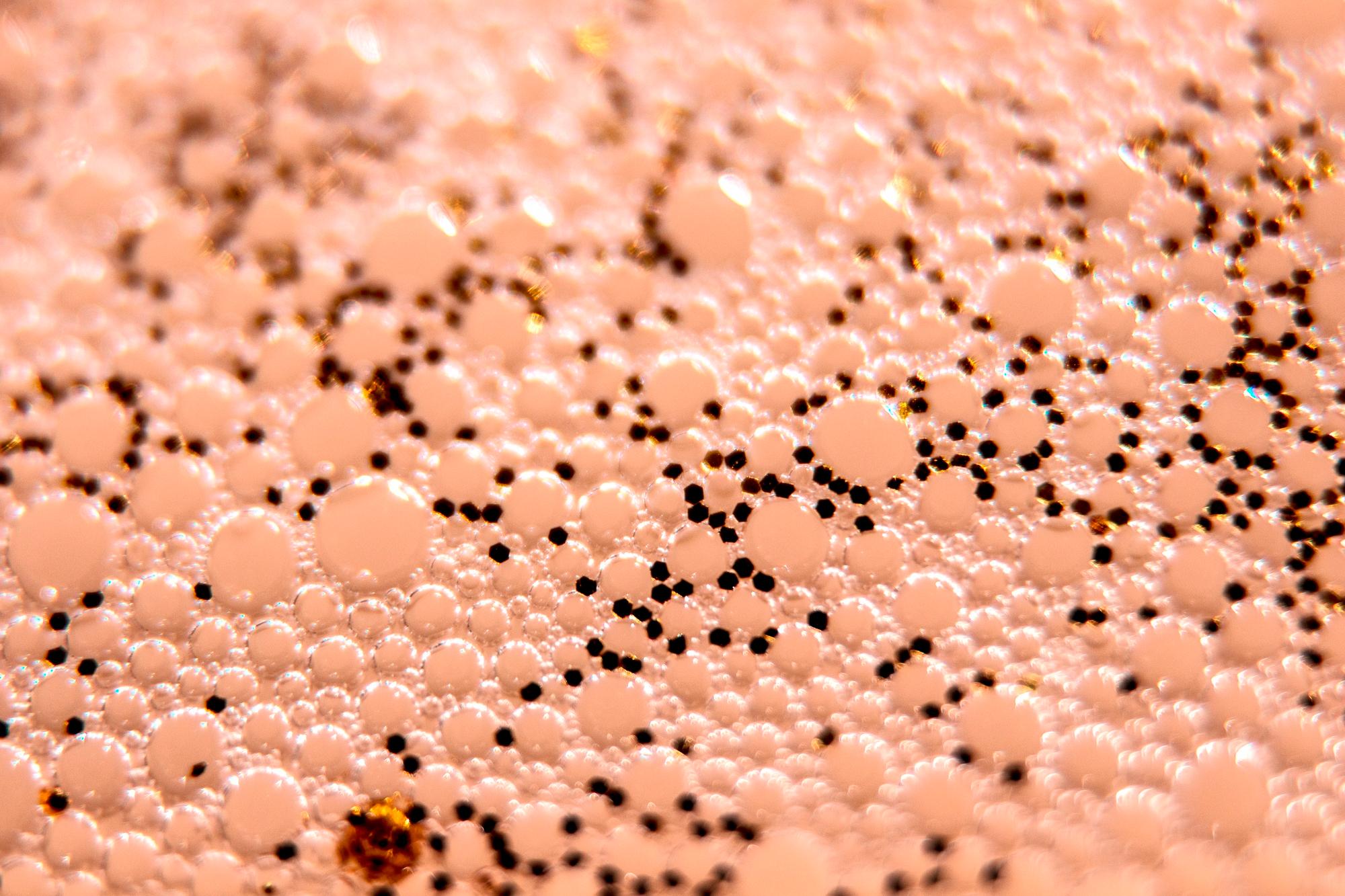 microbioma-pelle microbioma-pelle