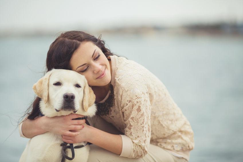dog-therapy dog-therapy