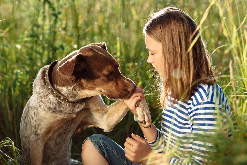 cane-ragazza