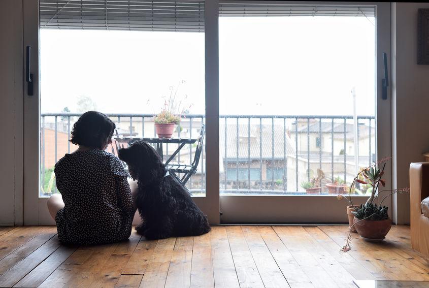 pet-therapy-depression