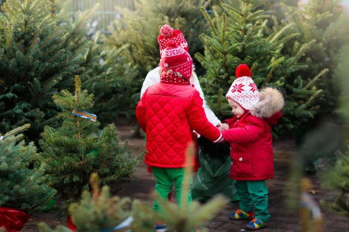 albero-di-natale