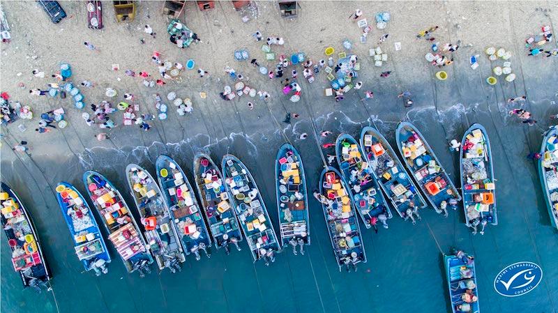 Pescatori pesca sostenibile