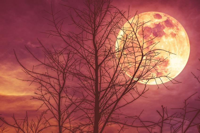 superluna-aprile-2020 superluna-aprile-2020