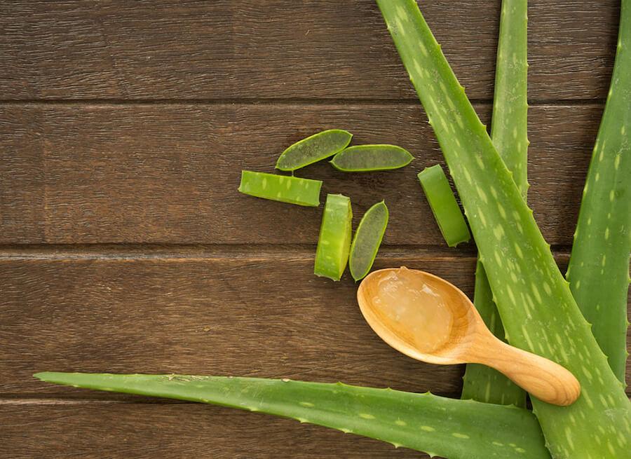 aloe-tessuti-(1)