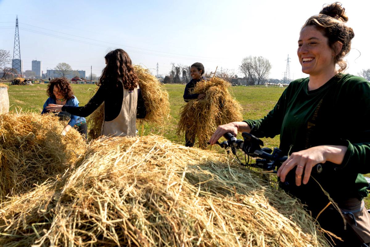 chiaravalle-parco-della-vettabbia-agroforestazione