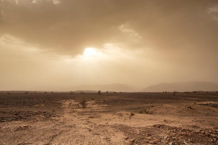 Desertificazione Desertificazione