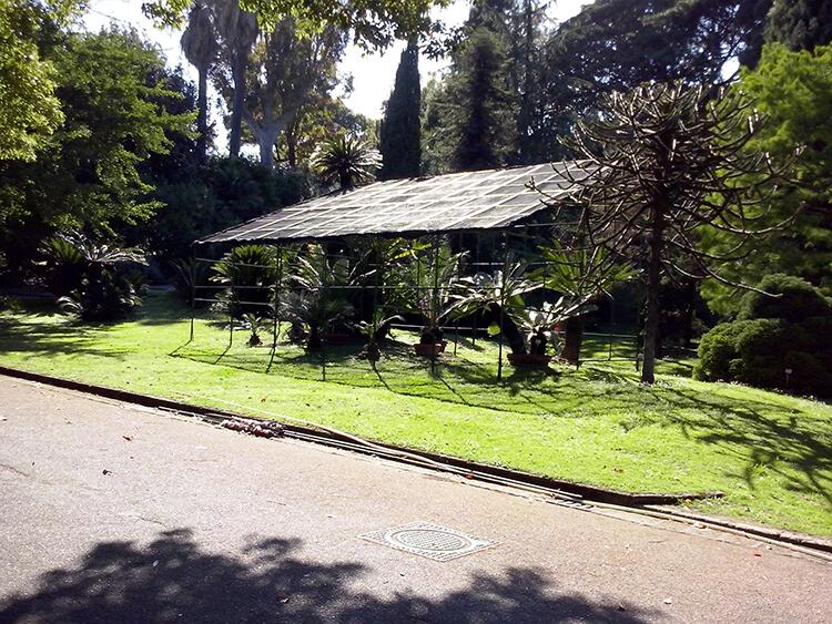 orto-botanico-napoli-2