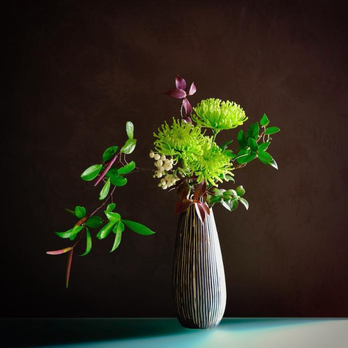 ikebana-spazio-bianco