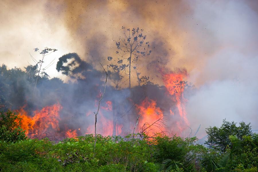 incendi-amazzonia