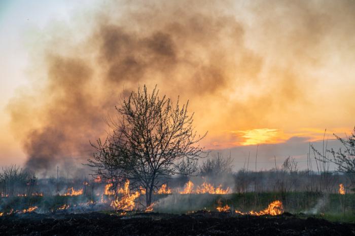 incendi-sardegna