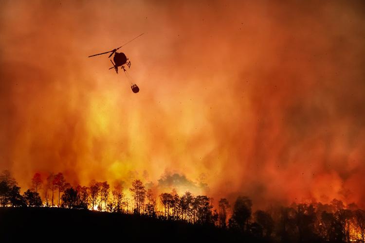 Do Bafo do Diabo, o documentário sobre o incêndio mais devastador da história de Portugal
