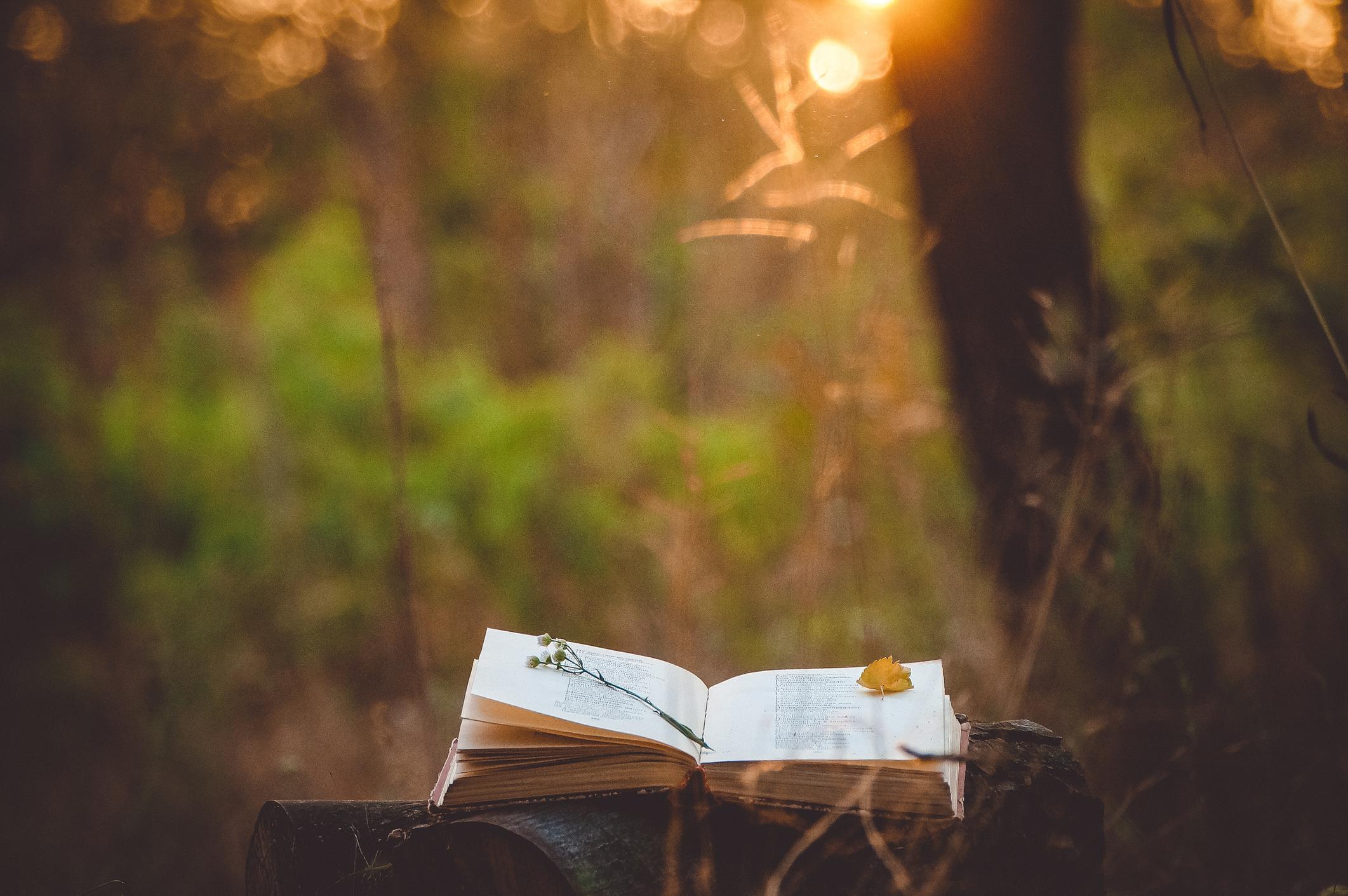 libri-salute-naturale libri-salute-naturale