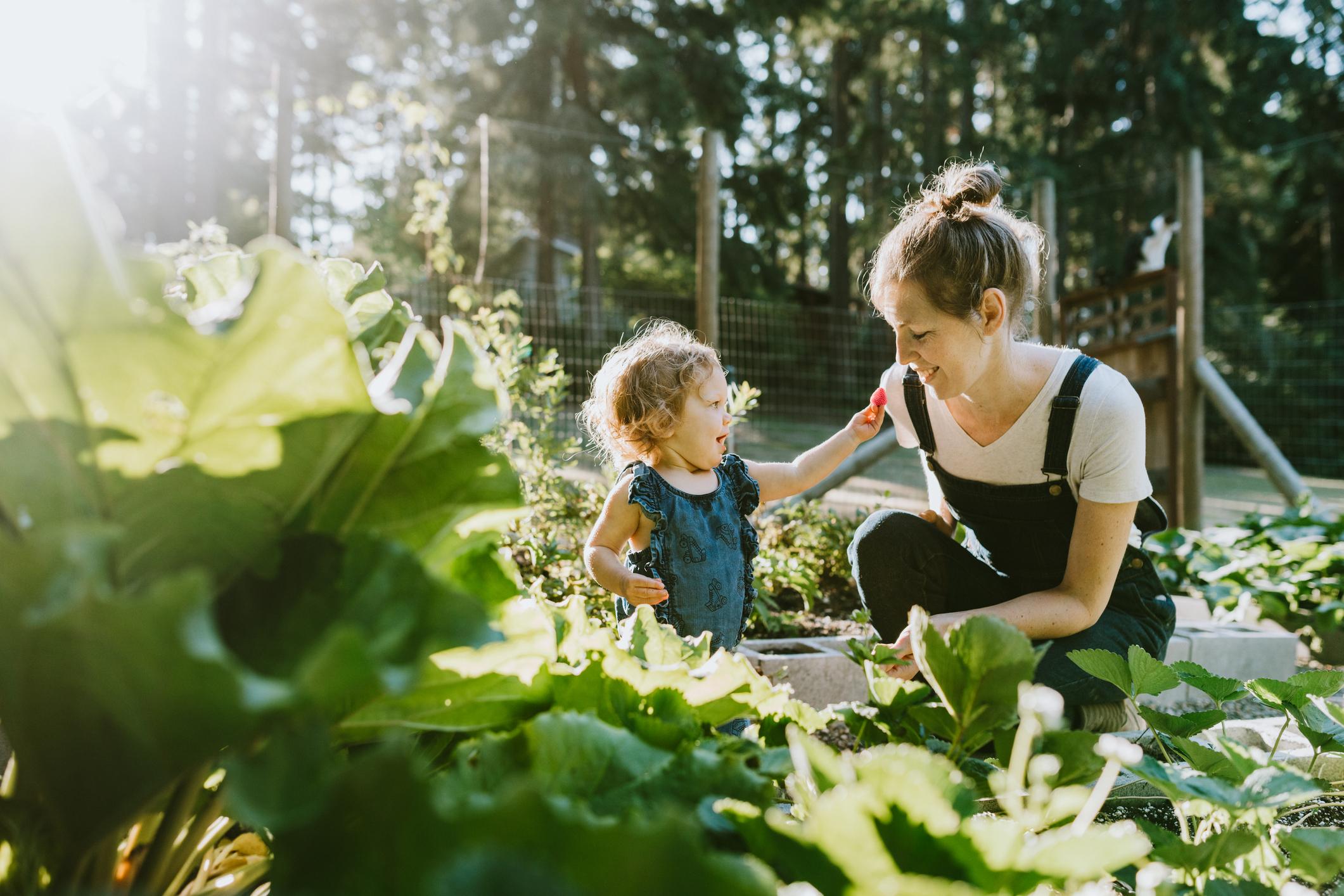 mamme-naturali mamme-naturali