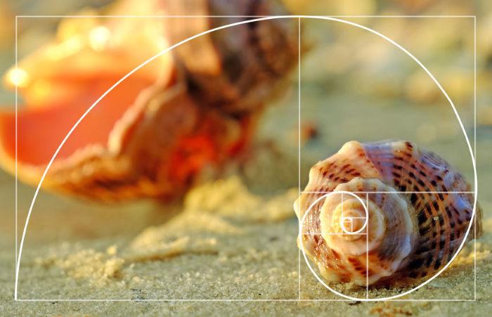 numero-di-fibonacci numero-di-fibonacci