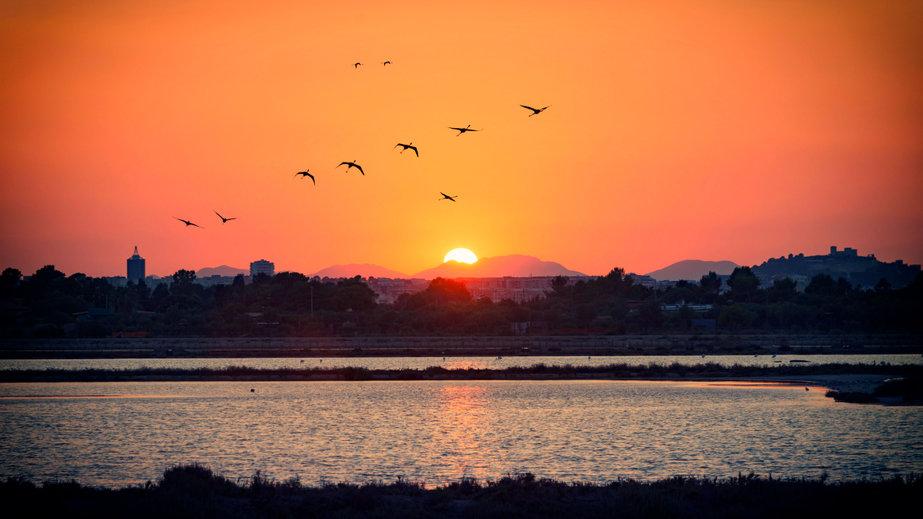 parco-molentargius-saline-sardegna