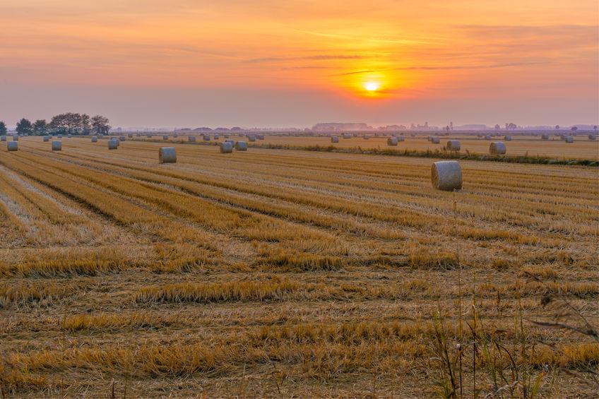 pianura-padana-inquinamento