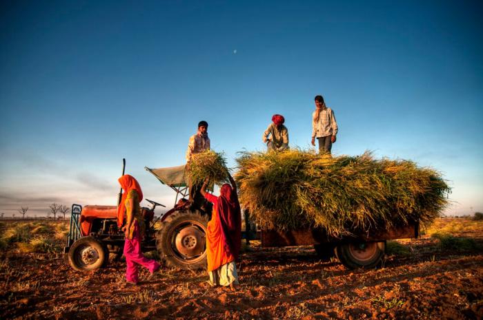 politiche-agricole-india