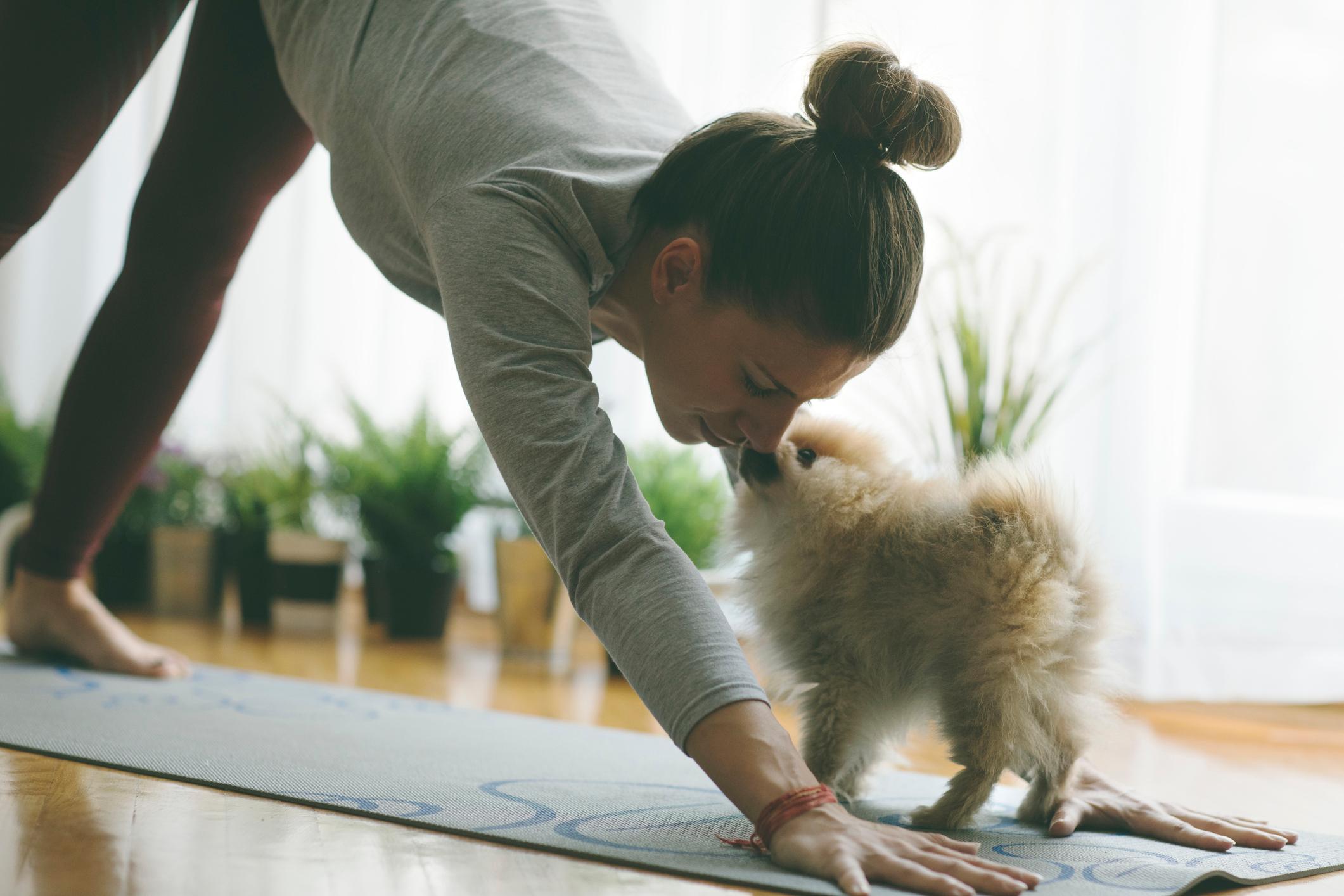 puppy-yoga puppy-yoga