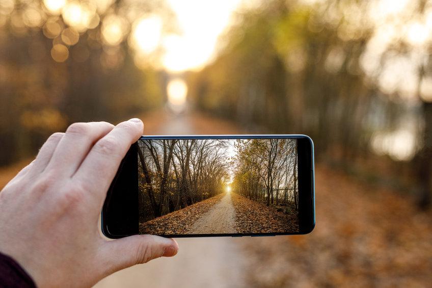screen-in-green-concorso-video-natura screen-in-green-concorso-video-natura