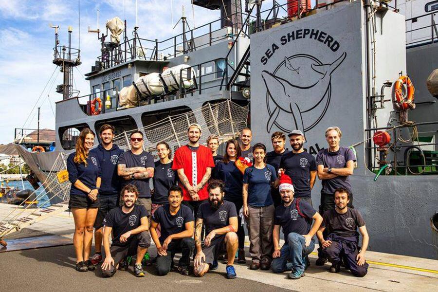 sea-shepherd