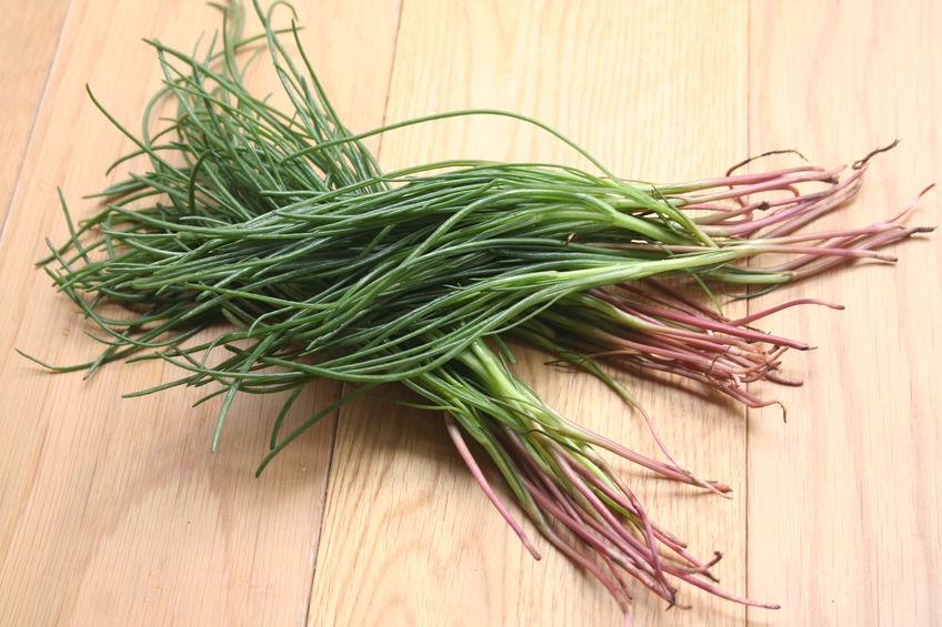 agretti