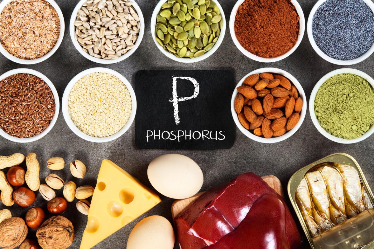 fosforo-proprietà