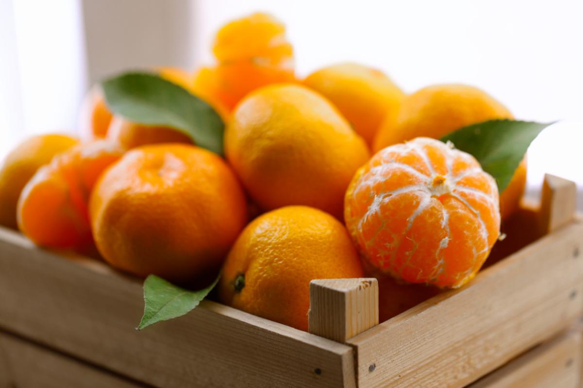frutta-invernale-mandarini