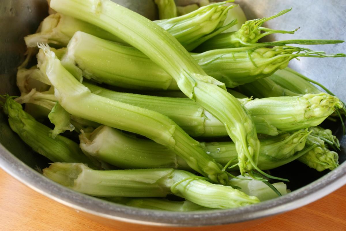 puntarelle