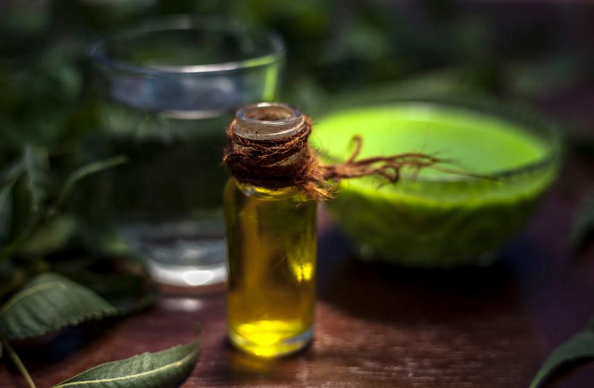 Olio di neem proprietà e usi CureNaturali.it
