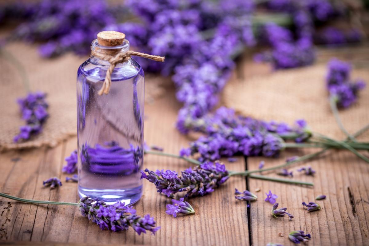 Olio essenziale di lavanda, proprietà e benefici 